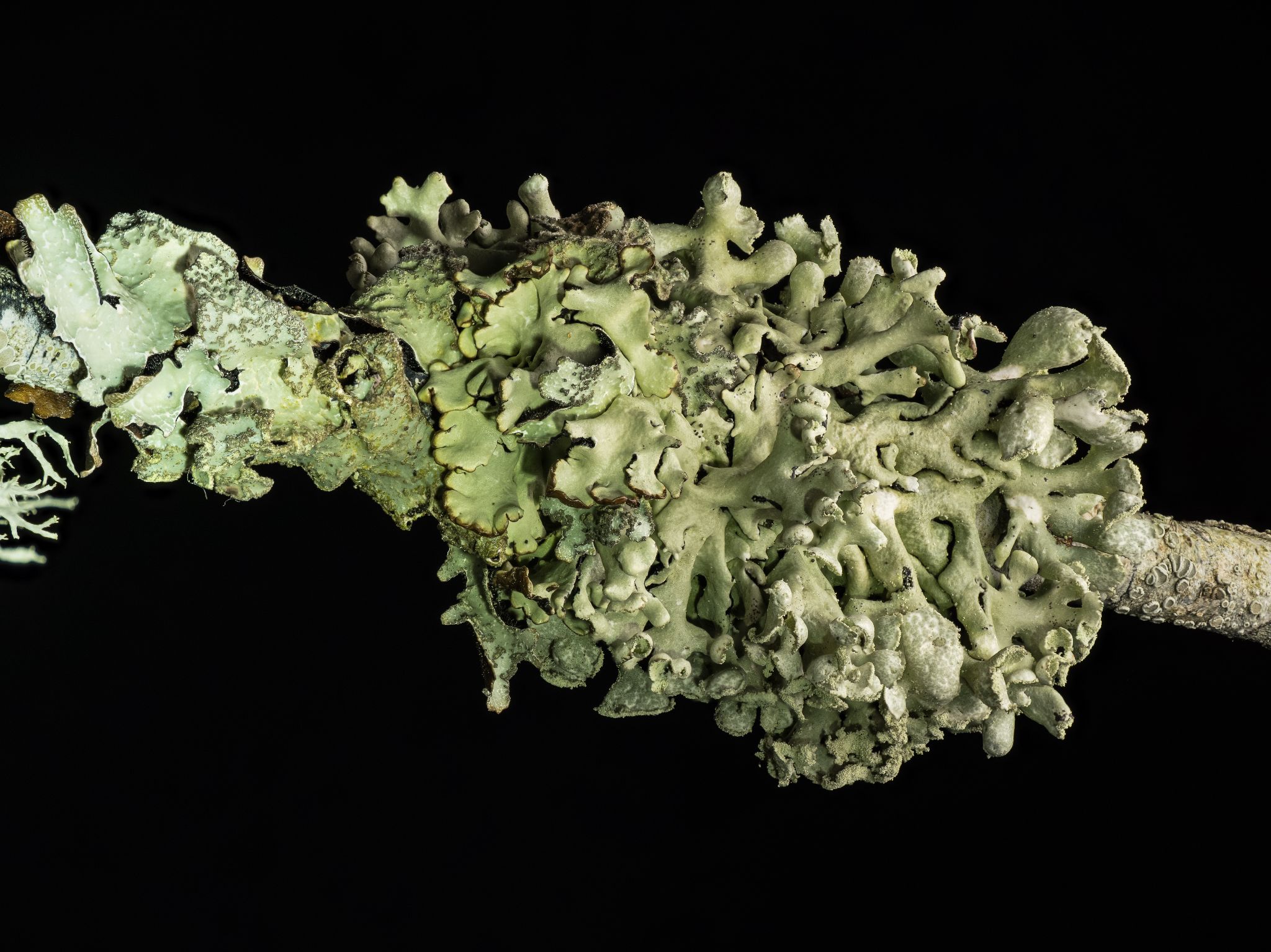 260326 17 16 17 (B,R8,S4)